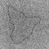 Shape estimation of 3-D DNA molecules from stereo cryo-electron micro-graphs