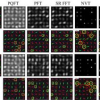 Spatio-temporal Saliency detection using phase spectrum of quaternion fourier transform