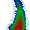Statistical shape models for segmentation and structural analysis