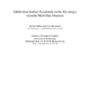 Subdivision Surface Tesselation on the Fly using a versatile Mesh Data Structure