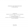 Systematic Lossy Error Protection of Video Signals