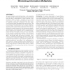 The Filter-Placement Problem and its Application to Minimizing Information Multiplicity