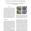 The Impact of Color on Bag-Of-Words Based Object Recognition