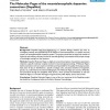 The Molecular Pages of the mesotelencephalic dopamine consortium (DopaNet)