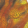 Topology, Accuracy, and Quality of Isosurface Meshes Using Dynamic Particles