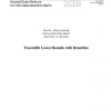 Treewidth Lower Bounds with Brambles