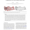 Triangulations with locally optimal Steiner points