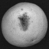 Unsupervised Band Selection for Multispectral Images using Information Theory