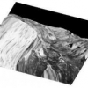Variational Multigrid for Fast 3D Interpretation of Image Sequences