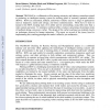 Verbal Coaching During a Real-Time Task