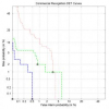 Video Clip Recognition Using Joint Audio-Visual Processing Model