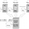Automatic Virtual Machine Configuration for Database Workloads