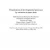 Visualization of Developmental Processes by Extrusion in Space-time