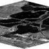 Wavelet Principal Component Analysis and its Application to Hyperspectral Images