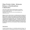 When worlds collide: Molecular biology as interdisciplinary collaboration