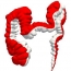 Fly-over Method Provides Better Colonoscopy Visualization