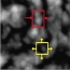 Recovering Fluid-type Motions Using Navier-Stokes Potential Flow